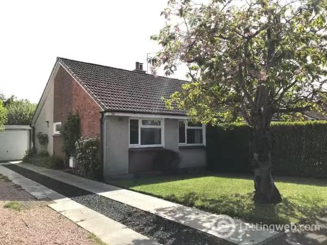 House for rent