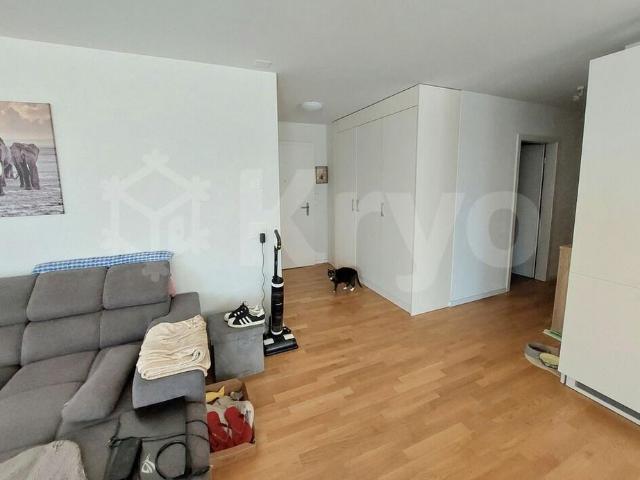 Apartment mieten in Delémont, Jura