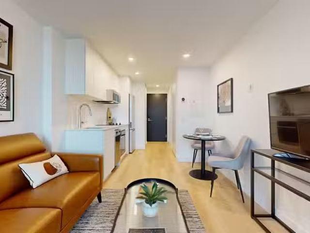 Condo for rent in Ville-Marie, Montréal