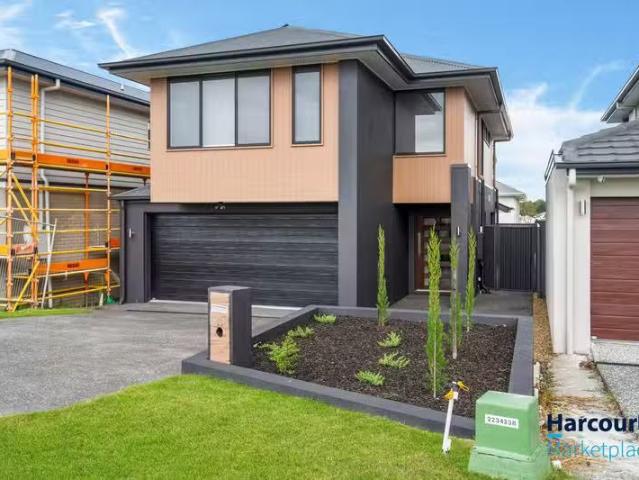 House for rent in Toombul, Queensland