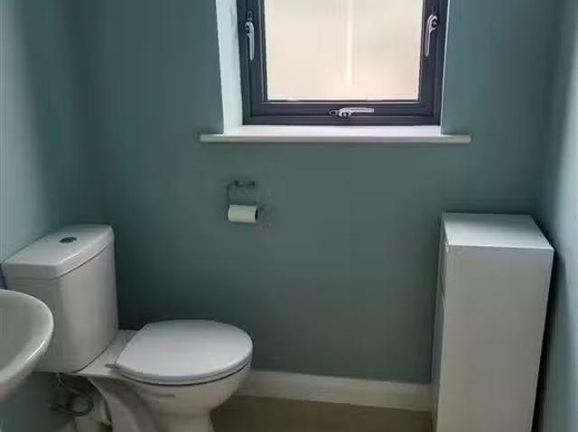 House to rent