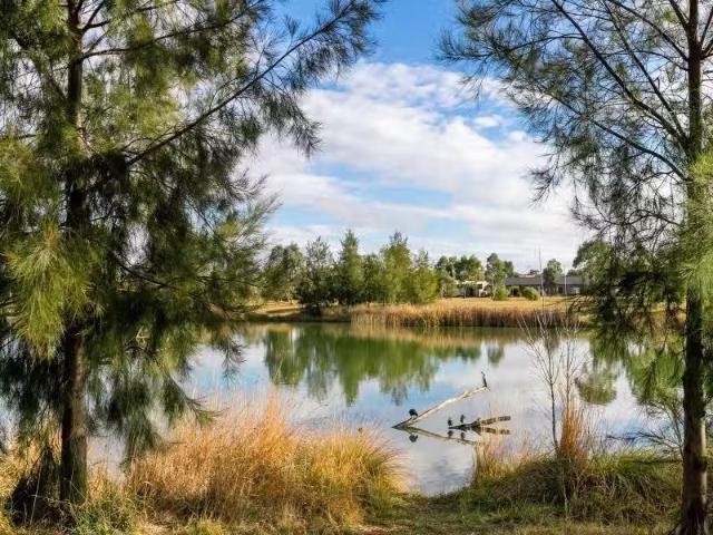 Apartment for rent in Franklin, Australian Capital Territory