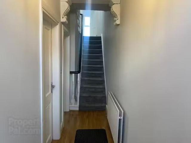 House to rent