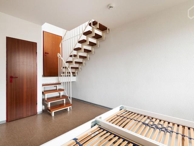 Apartment mieten in Mainz, Rheinland-Pfalz