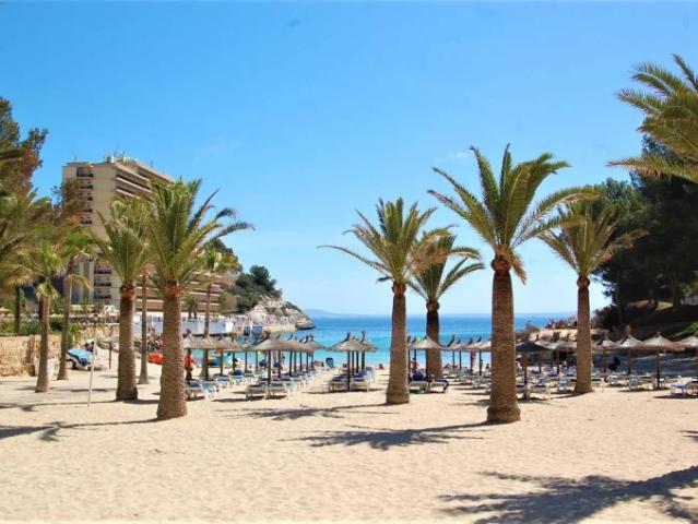 Apartamento en alquiler en Calvià, Serra de Tramuntana