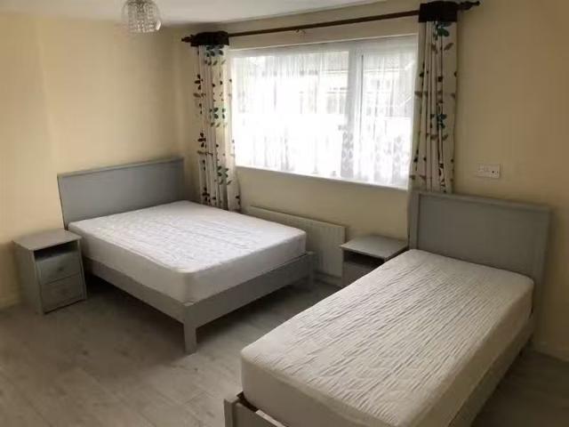House to rent