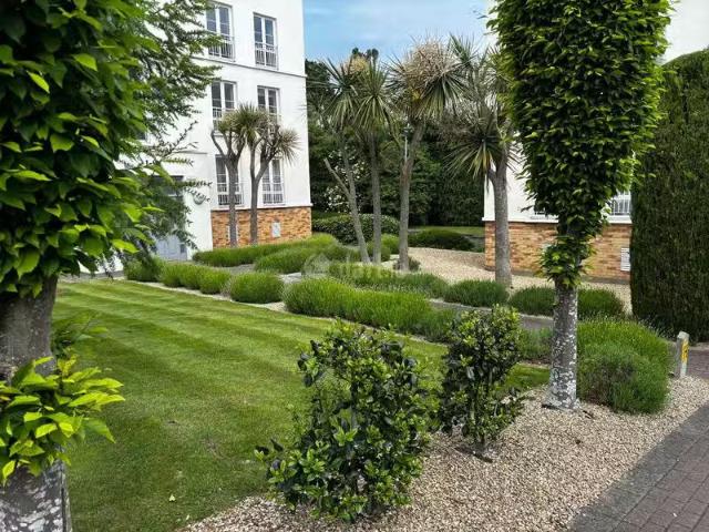 Apartment to rent