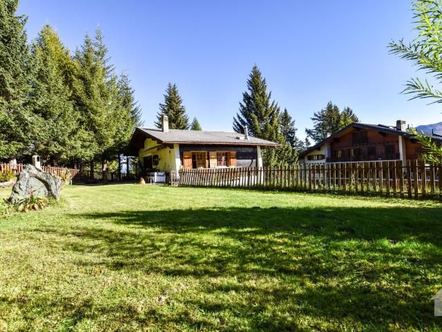 Haus kaufen in Vex, Wallis