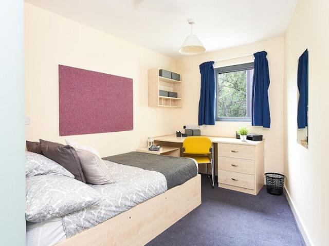 Room for rent in Park District, Scotland