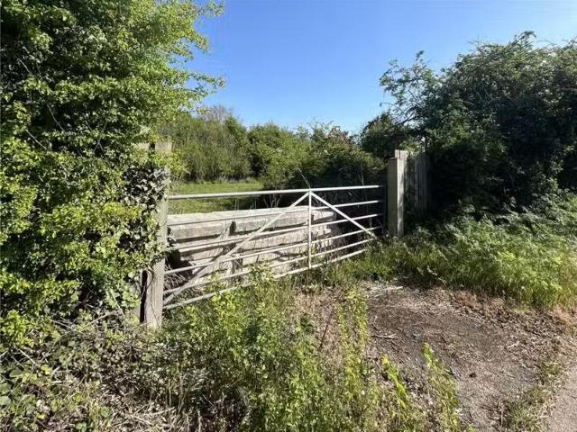 House for rent in Chelmsford