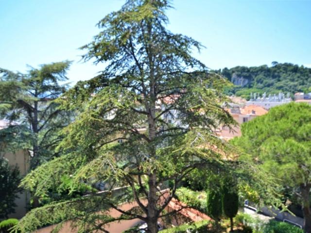 Appartement vente à Nice, Alpes-Maritimes