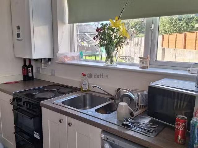 House to rent