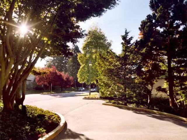 Condo for rent in Vancouver, British Columbia