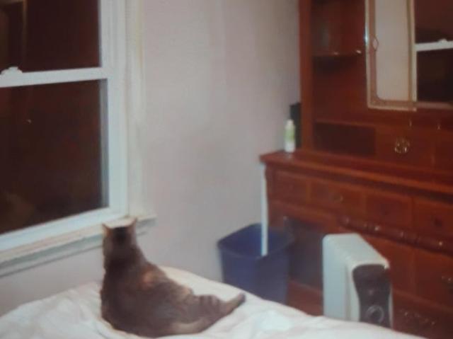 Room for rent in Virginia
