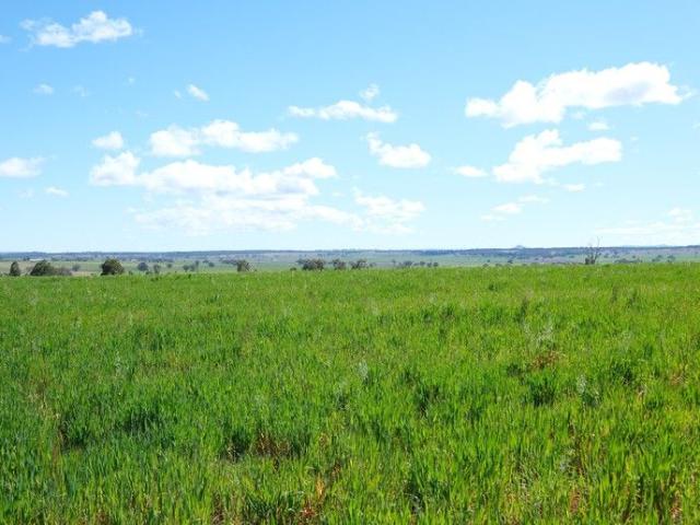 Property for sale in Inverell, New South Wales