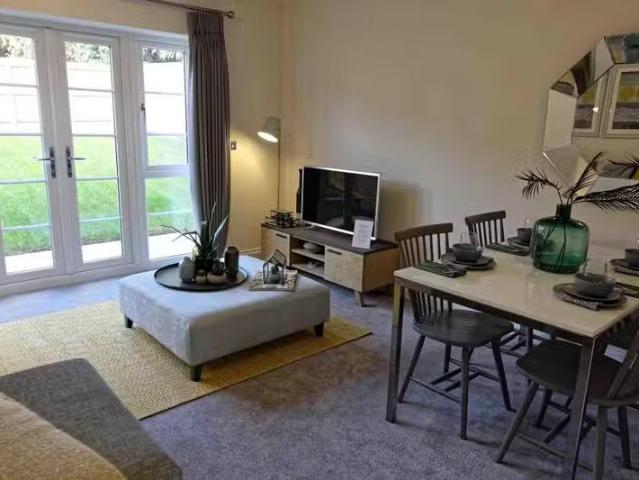 House for rent