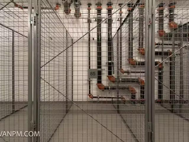 Condo for rent in Burnaby, British Columbia