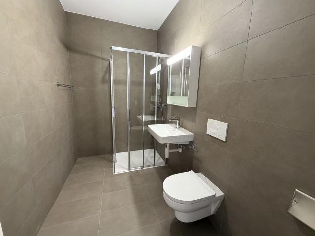 Apartment mieten in Les Mayens-de-Sion, Wallis