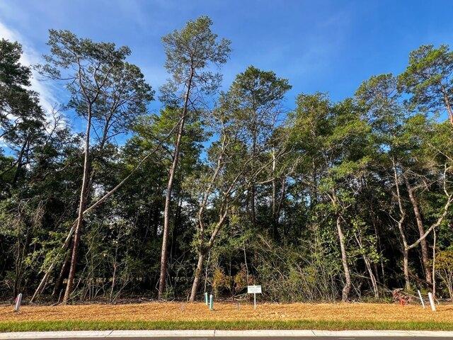 Land for sale in Niceville, Florida