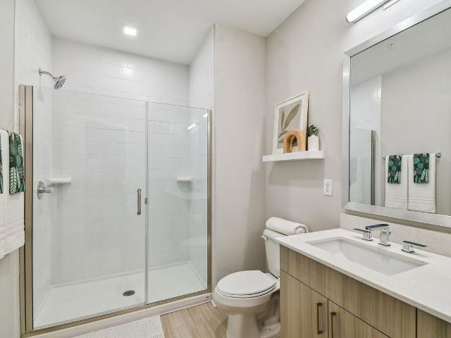 Apartment for rent in Tampa, Florida