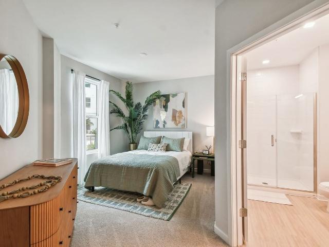 Apartment for rent in Tampa, Florida