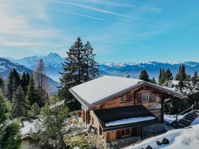 Haus kaufen in Gryon, Waadt