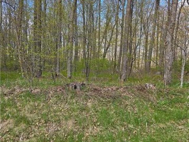 Land for sale in Grand Rapids, Minnesota