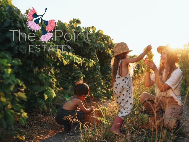 Property for sale in Nichols Point, Victoria