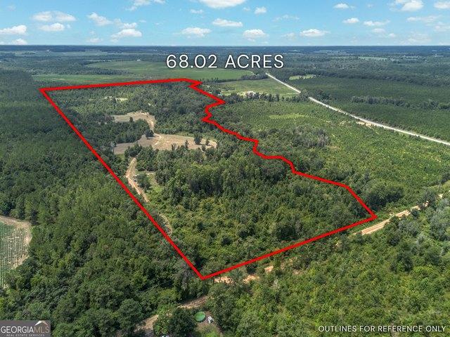 Land for sale in Dodge, Georgia