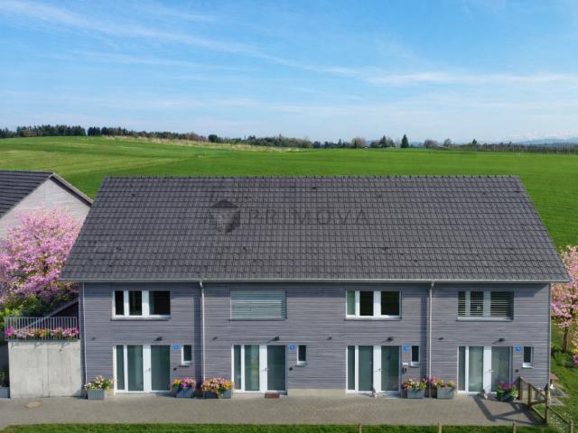 Immobilie kaufen in Erlen, Thurgau