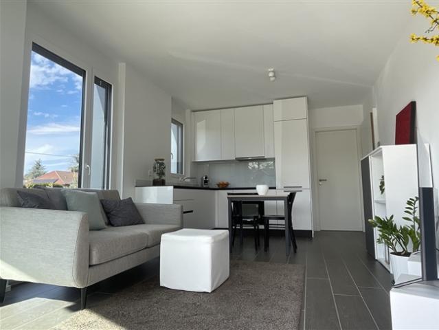 Wohnung kaufen in Thônex
