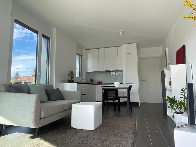 Wohnung kaufen in Thônex