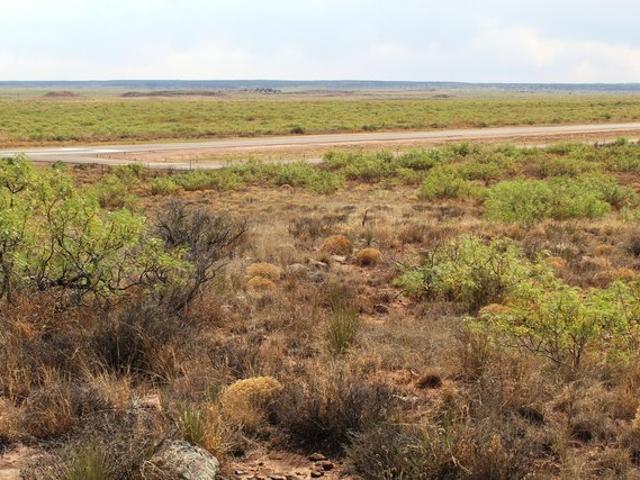 Land for sale in New Mexico