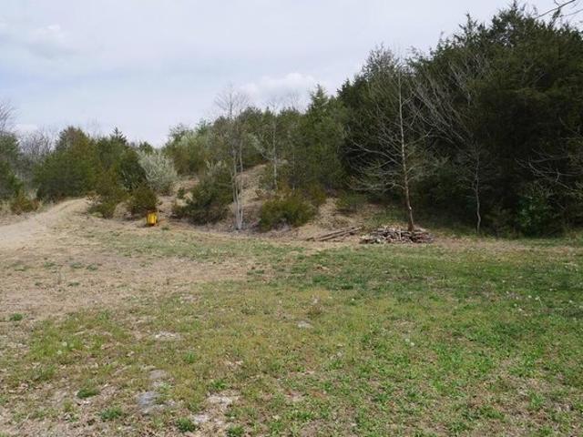 Land for sale in Gate City, Scott County