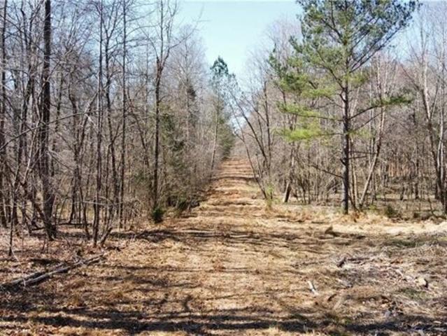 Land for sale in Mebane