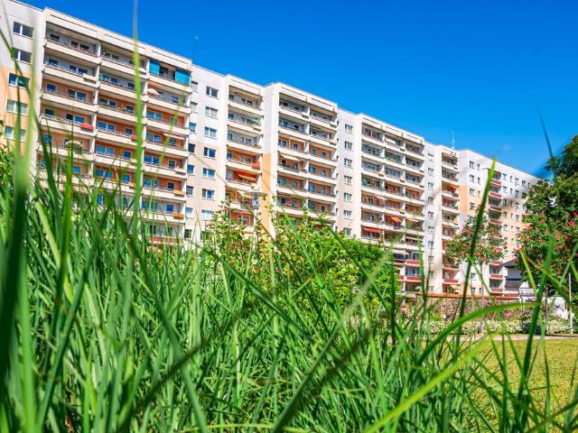 Apartment mieten in Altstadt Zwickau, Zwickau
