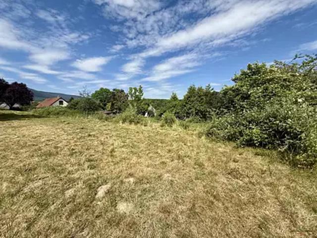 Terrain vente à Niederhaslach, Collectivité européenne d'Alsace