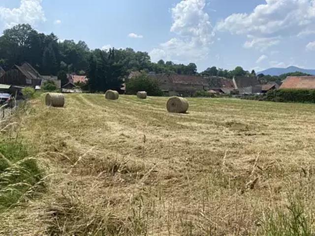 Terrain vente à Niederhaslach, Collectivité européenne d'Alsace