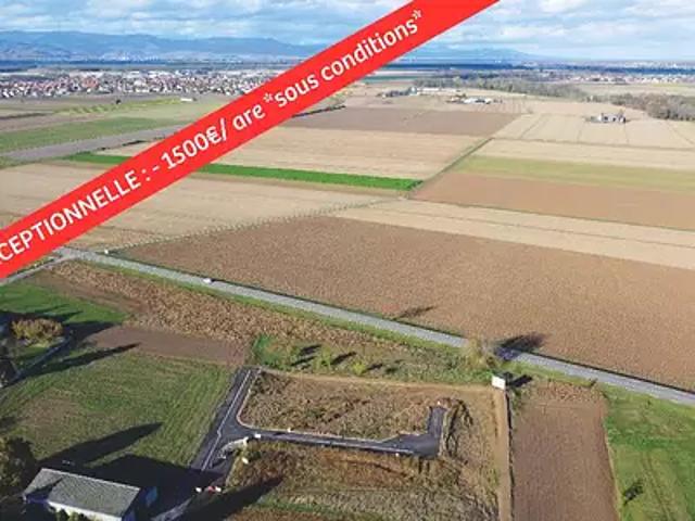Terrain vente à Niederhergheim, Collectivité européenne d'Alsace