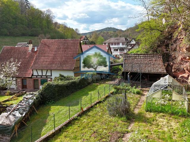 Maison vente à Niedersteinbach, Collectivité européenne d'Alsace