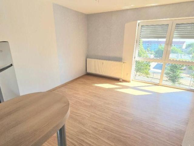 Apartment mieten in Haselbrunn, Plauen