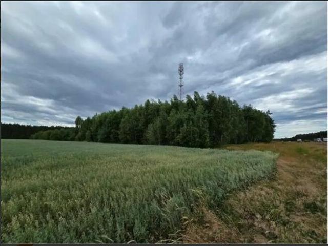 Grunt na sprzedaż w Lubrza, Lubuskie