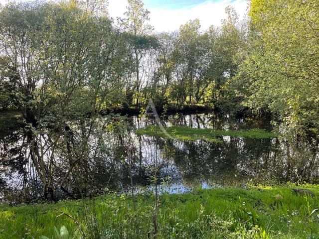 Terrain vente à France métropolitaine, Nieul-le-dolent