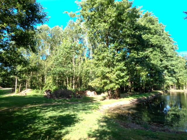 Terrain vente à France métropolitaine, Nieul-le-dolent