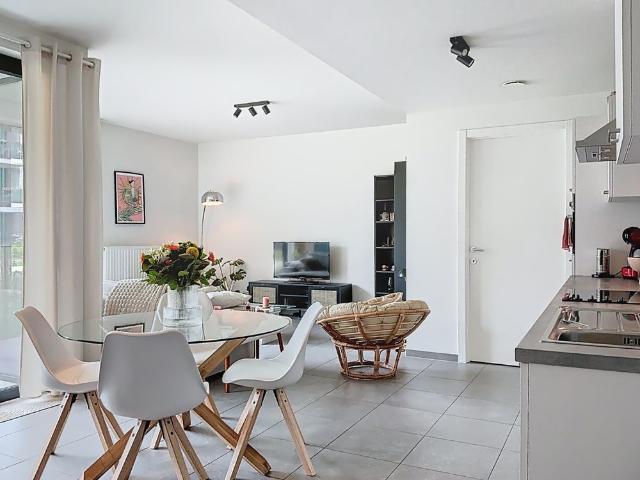 Appartement location à Bree
