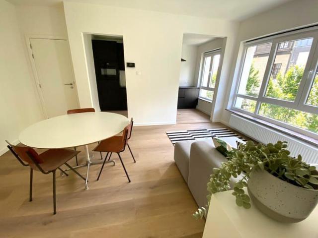 Kot location à Antwerpen