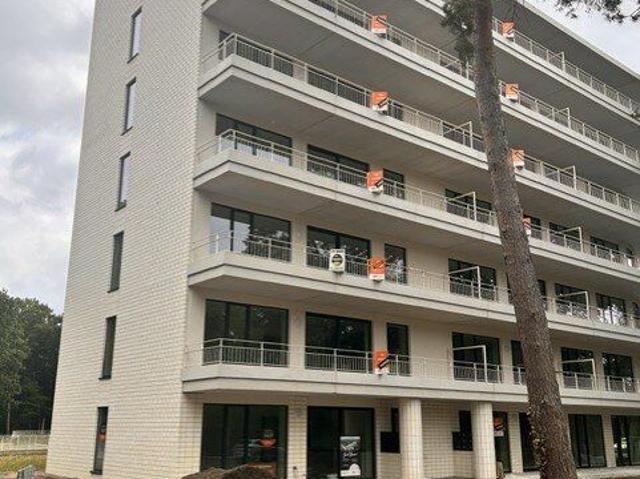 Kot location à Winterslag, Genk