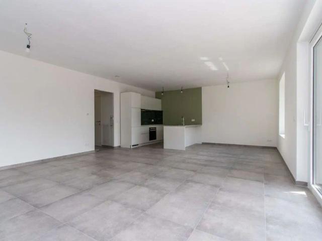 Appartement location à Halle, Brabant