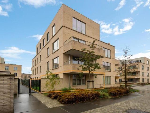 Kot location à Antwerpen