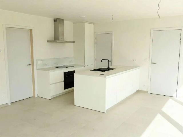 Appartement location à Elversele, Temse